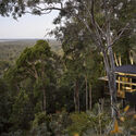 Sunrise Studio / Bark Design Architects - Exterior Photography, Windows, Forest